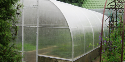 При покупке теплицы - скидка 5% на сотовый поликарбонат